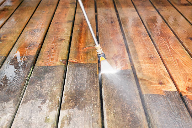 Animal Enclosure Cleaning in Finderne, NJ